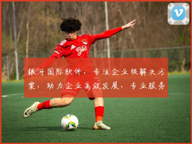 银河国际软件，专注企业级解决方案，助力企业高效发展，专业服务两不误。