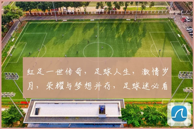 红足一世传奇，足球人生，激情岁月，荣耀与梦想并存，足球迷必看