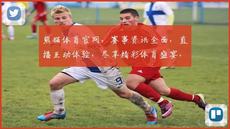 熊猫体育官网，赛事资讯全面，直播互动体验，尽享精彩体育盛宴，助力运动狂欢
